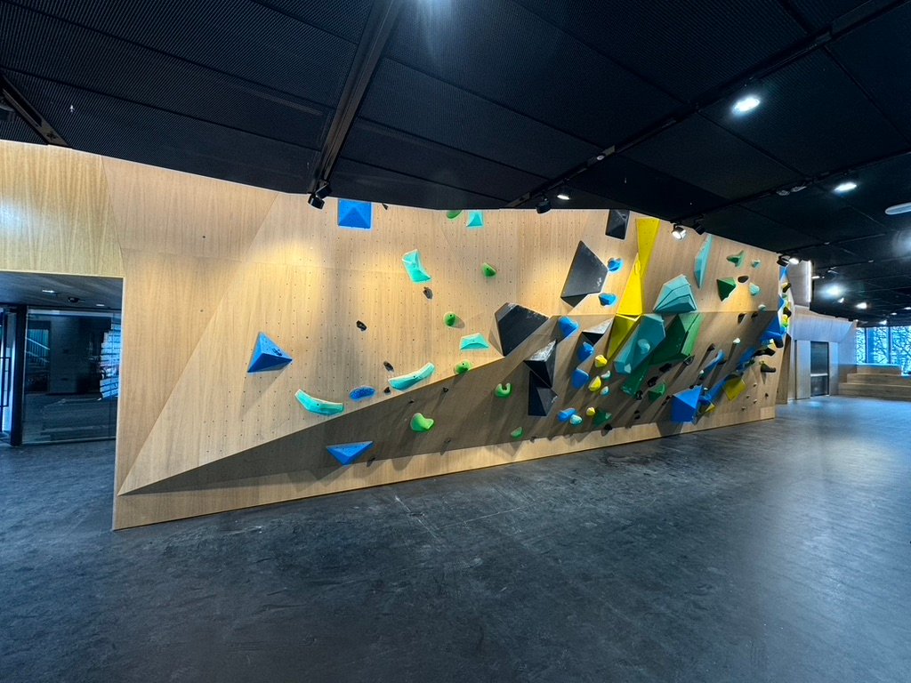 A custom timber climbing wall built by ClimbCraft for a New Zealand school